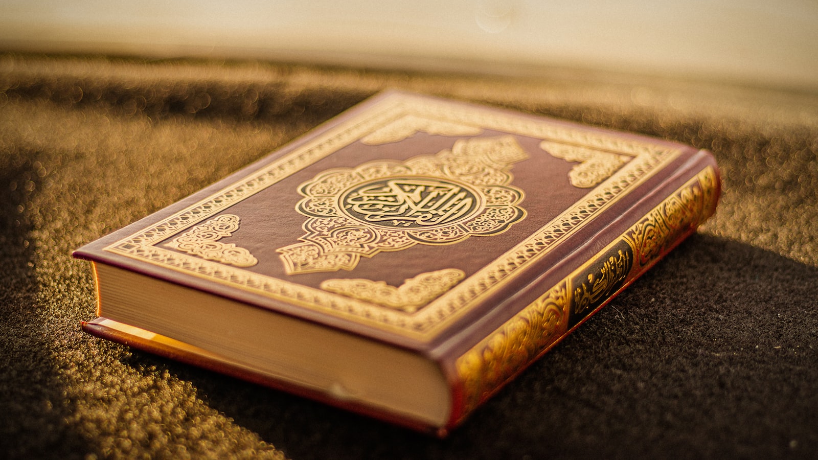 لماذا ينسى حافظ القرآن ما حفظه